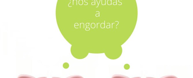 Monitorización consumos